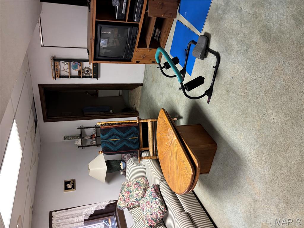 9740 Ridgecrest Drive Hillsboro, MO 63050 - Photo 33 of 51