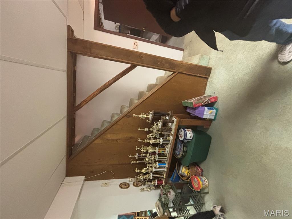 9740 Ridgecrest Drive Hillsboro, MO 63050 - Photo 37 of 51