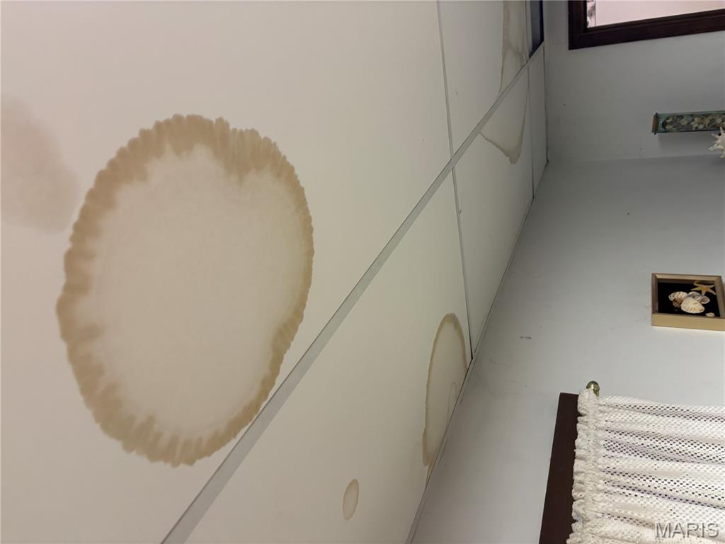 9740 Ridgecrest Drive Hillsboro, MO 63050 - Photo 45 of 51