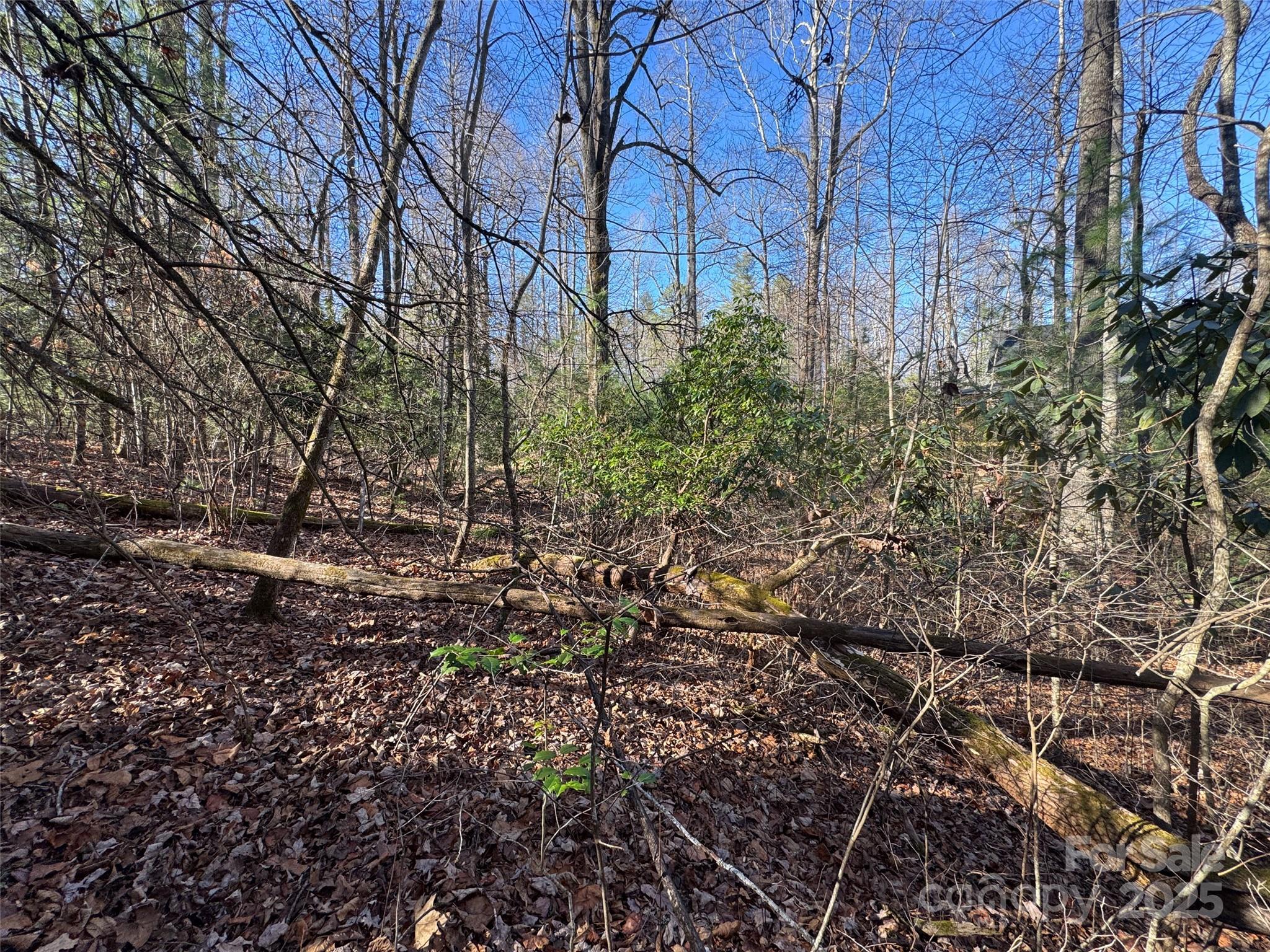 0 Small Creek Road Brevard, NC 28712 - Photo 12 of 21 a backyard of a house
