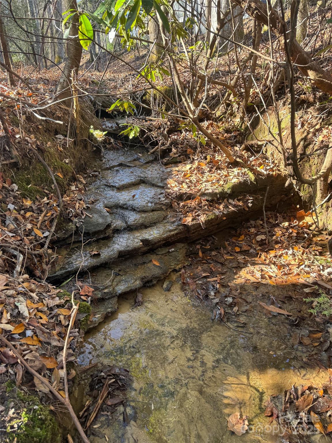 0 Small Creek Road Brevard, NC 28712 - Photo 17 of 21