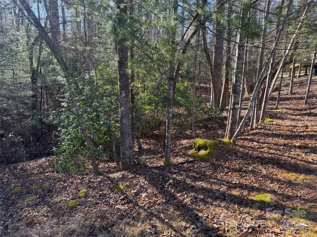 a backyard of a house with trees