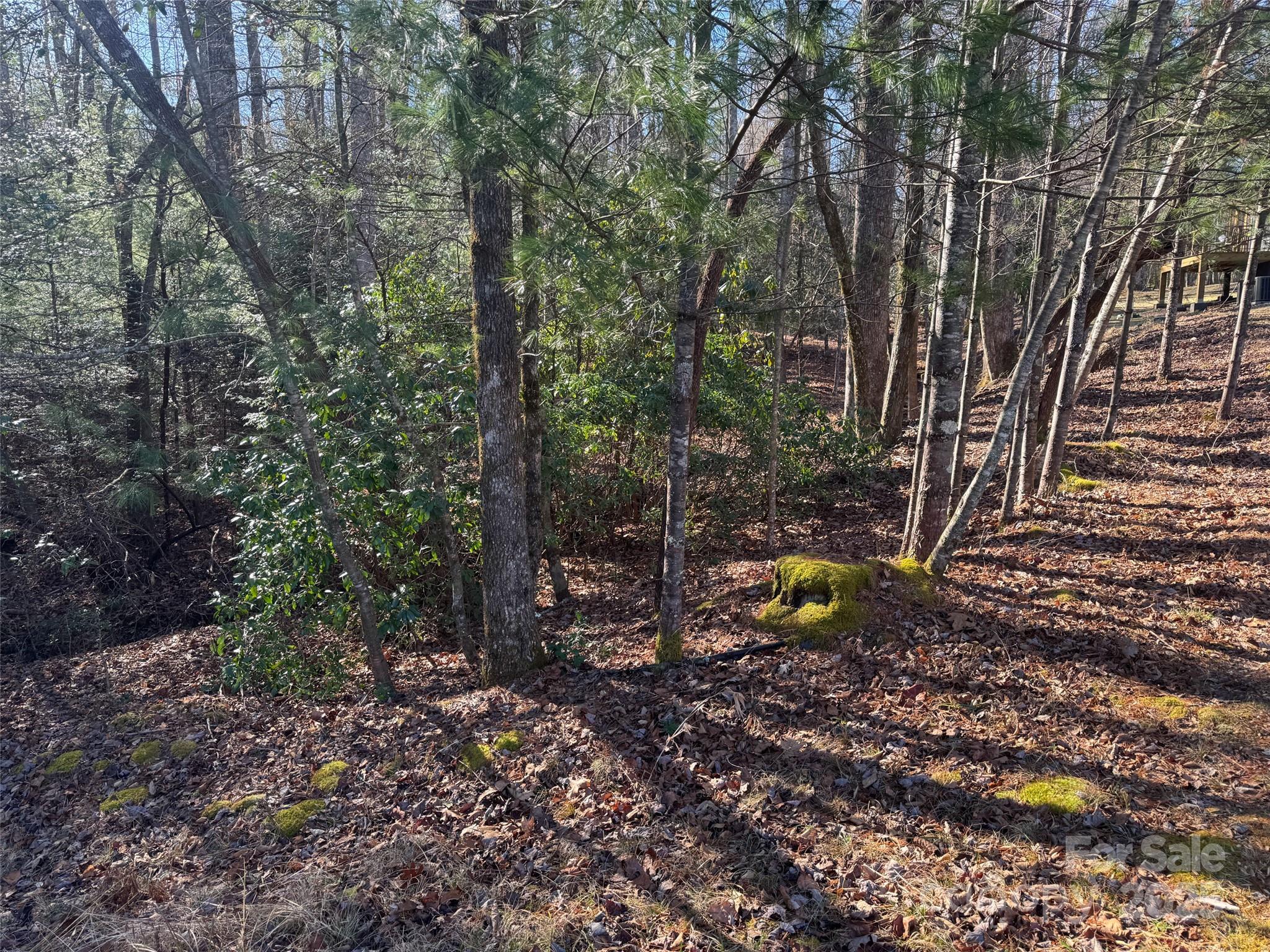 0 Small Creek Road Brevard, NC 28712 - Photo 19 of 21 a garden view with a seating space
