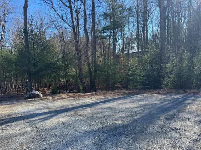 a view of a yard with trees