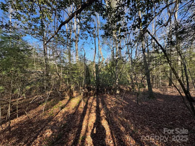 a view of outdoor space and trees