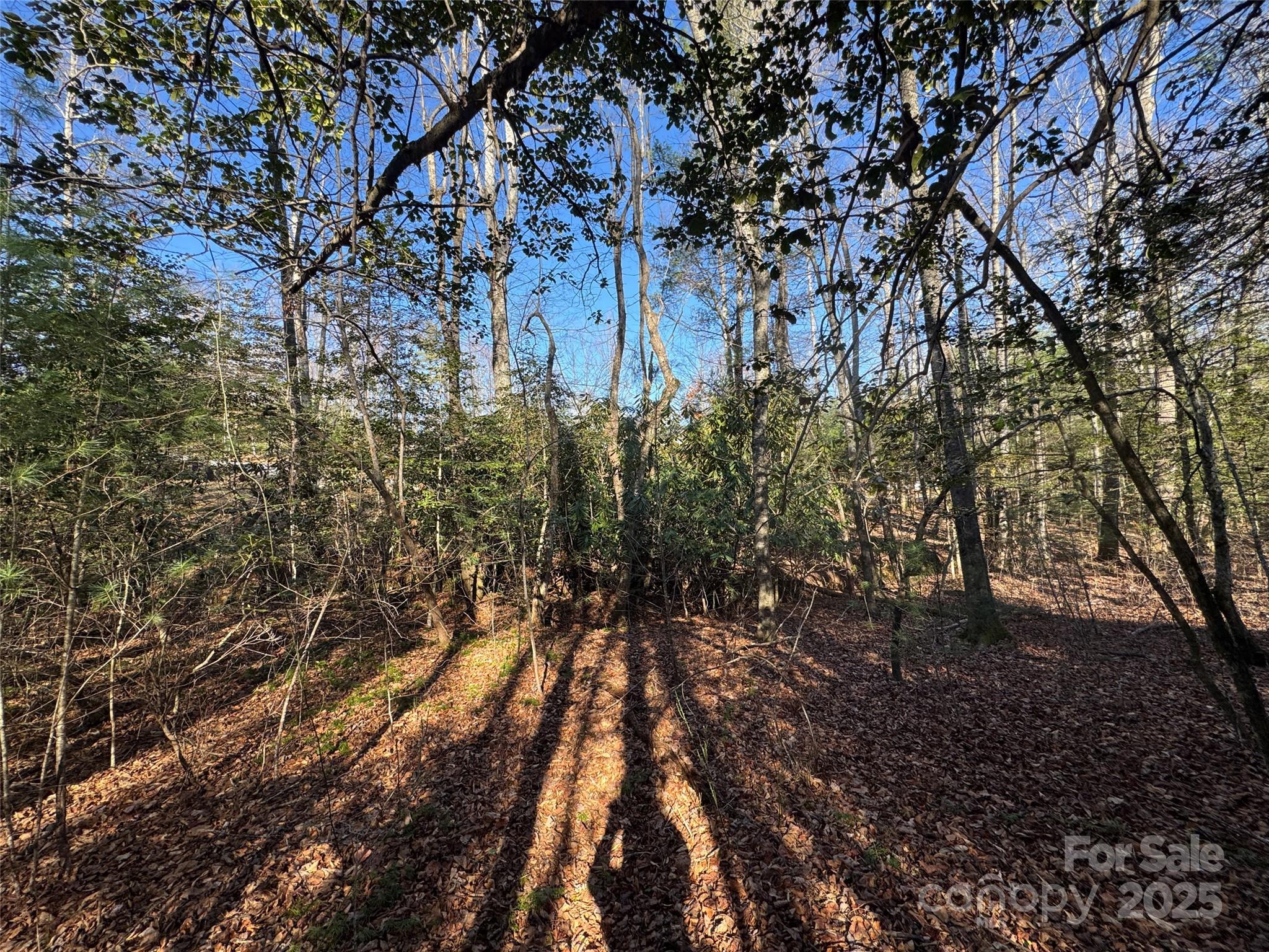 0 Small Creek Road Brevard, NC 28712 - Photo 6 of 21 a view of outdoor space and trees