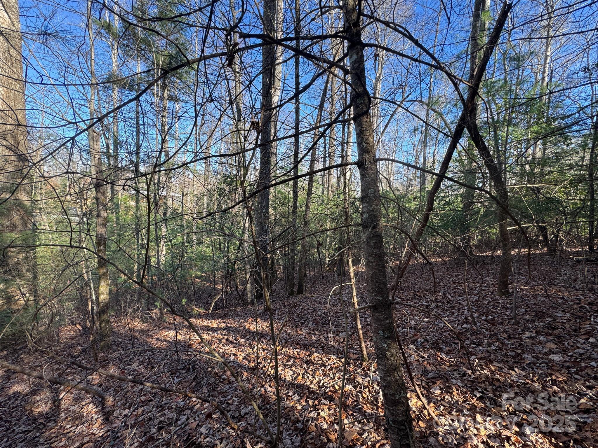 0 Small Creek Road Brevard, NC 28712 - Photo 7 of 21 a backyard of a house with lots of green space