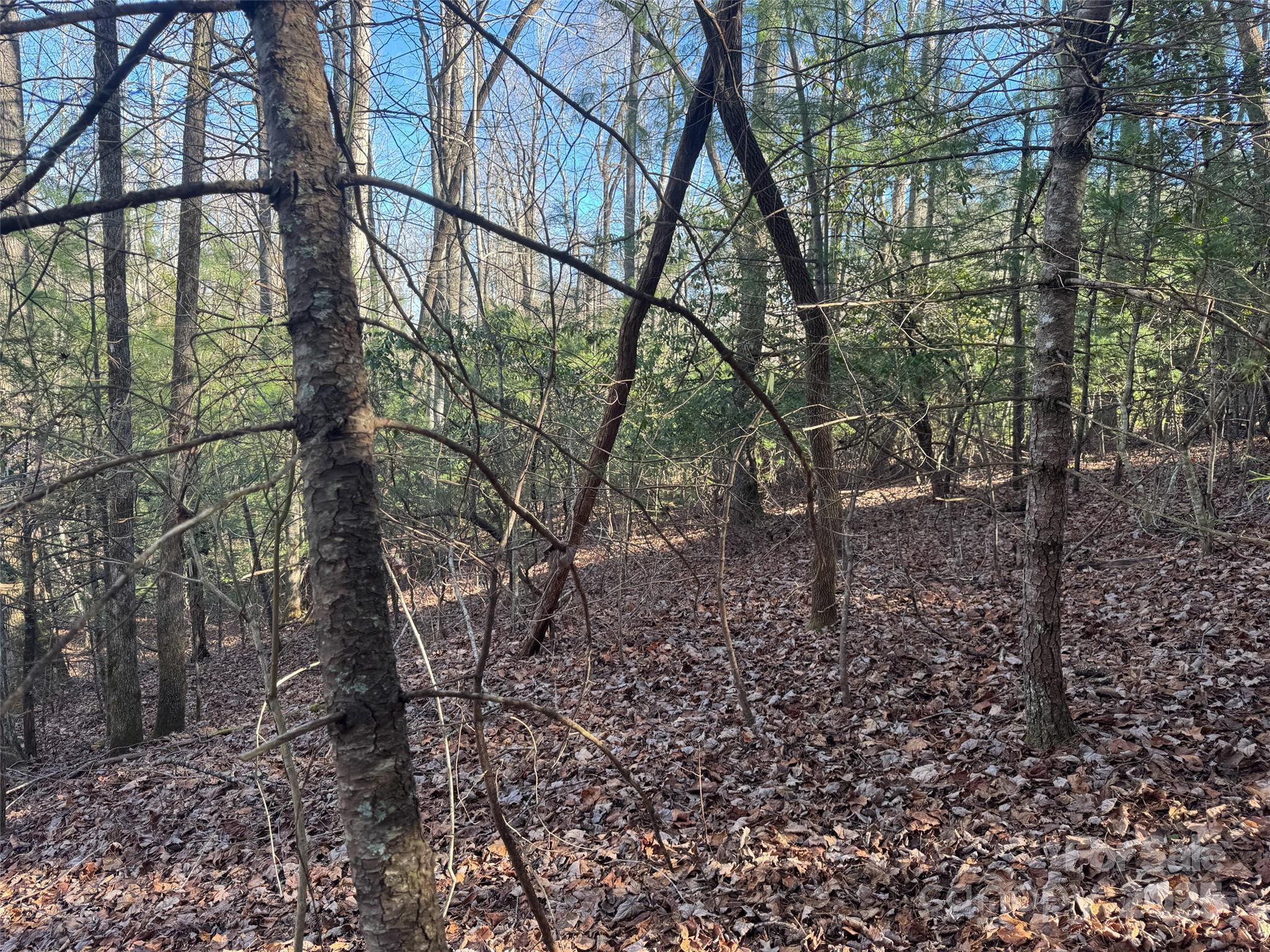 0 Small Creek Road Brevard, NC 28712 - Photo 8 of 21 a backyard of a house with lots of green space