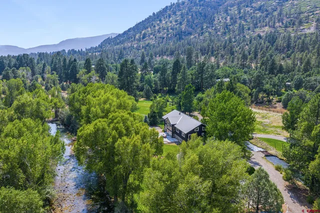 a view of a bunch of trees and bushes