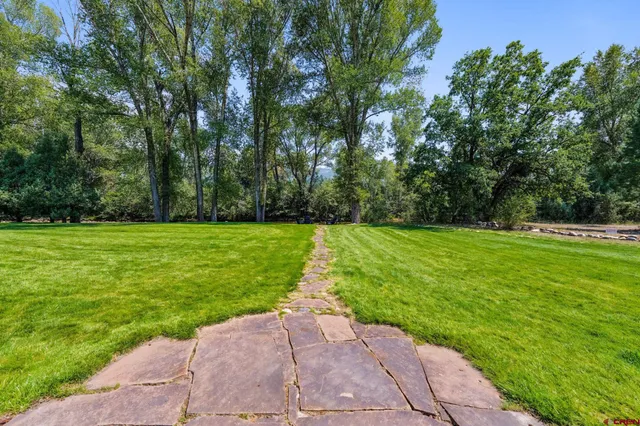 a view of a garden with a tree