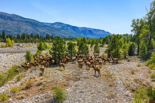 a view of a lush green field with mountains in the background
