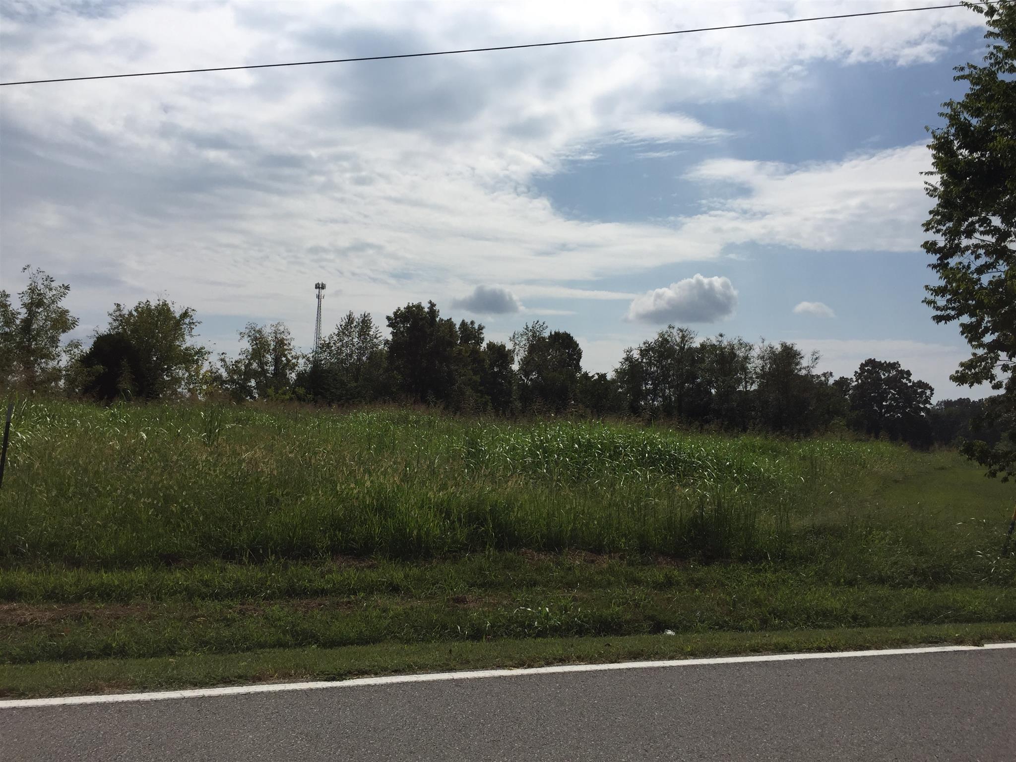 3884 Head Road Adams, TN 37010 - Photo 1 of 4