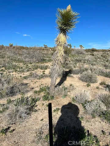 $70,000 | 0 Vac/fort Tejon Pav /vic Avenue, Pearblossom, CA 93553