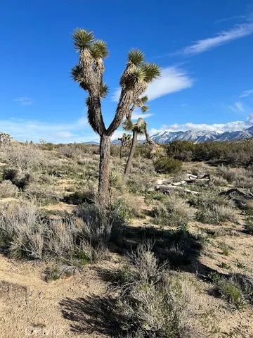 $70,000 | 0 Vac/fort Tejon Pav /vic Avenue, Pearblossom, CA 93553