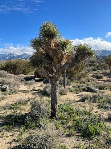 $70,000 | 0 Vac/fort Tejon Pav /vic Avenue, Pearblossom, CA 93553