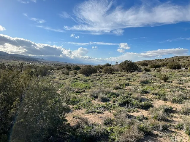 $70,000 | 0 Vac/fort Tejon Pav /vic Avenue, Pearblossom, CA 93553