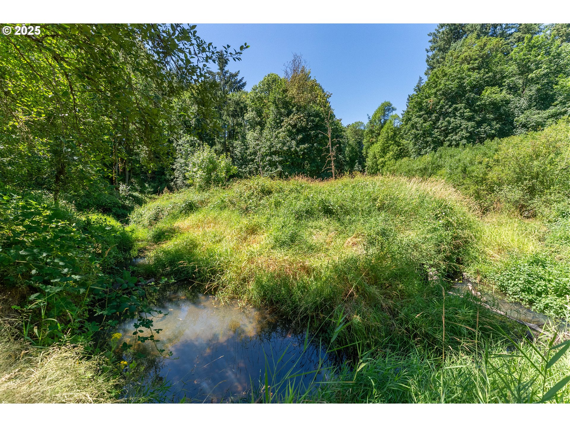 12511 Southwest Bell Road Wilsonville, OR 97070 - Photo 36 of 39 Yard