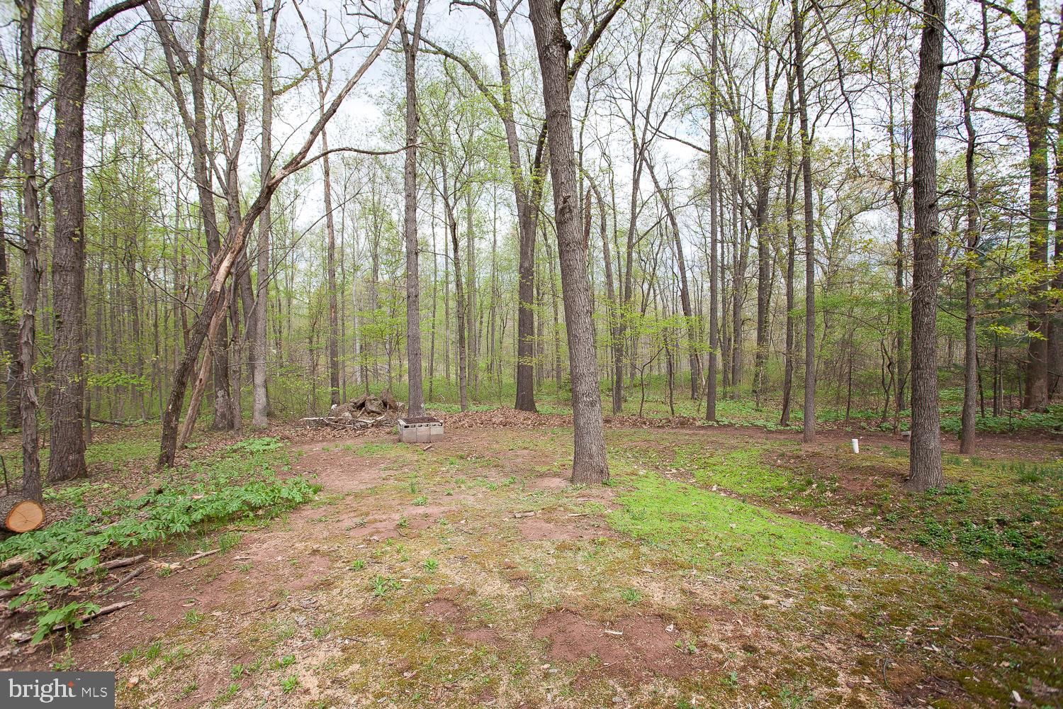 545 York Road York Haven, PA 17370 - Photo 21 of 25 Gallery Image 21