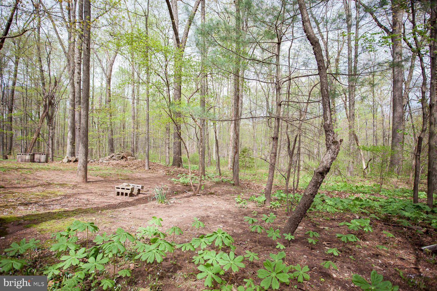 545 York Road York Haven, PA 17370 - Photo 25 of 25 Gallery Image 25