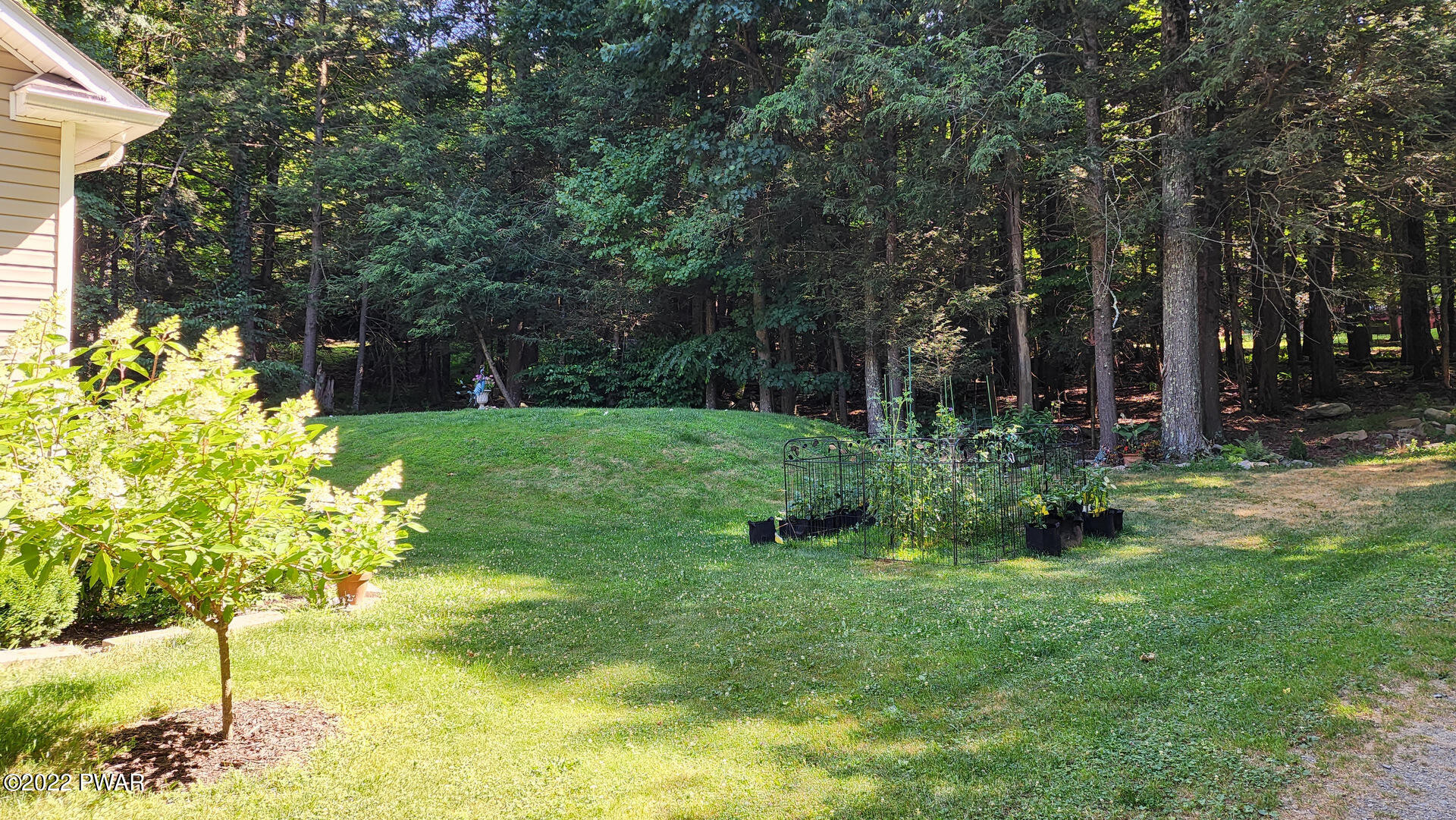 159 Nevin Road Newfoundland, PA 18445 - Photo 46 of 62 20220724_101259