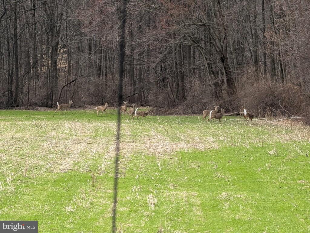 210 Alleghenyville Road Mohnton, PA 19540 - Photo 80 of 81