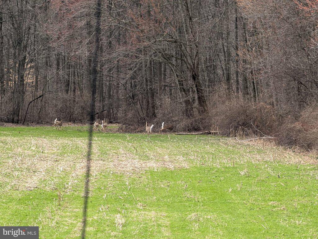 210 Alleghenyville Road Mohnton, PA 19540 - Photo 81 of 81