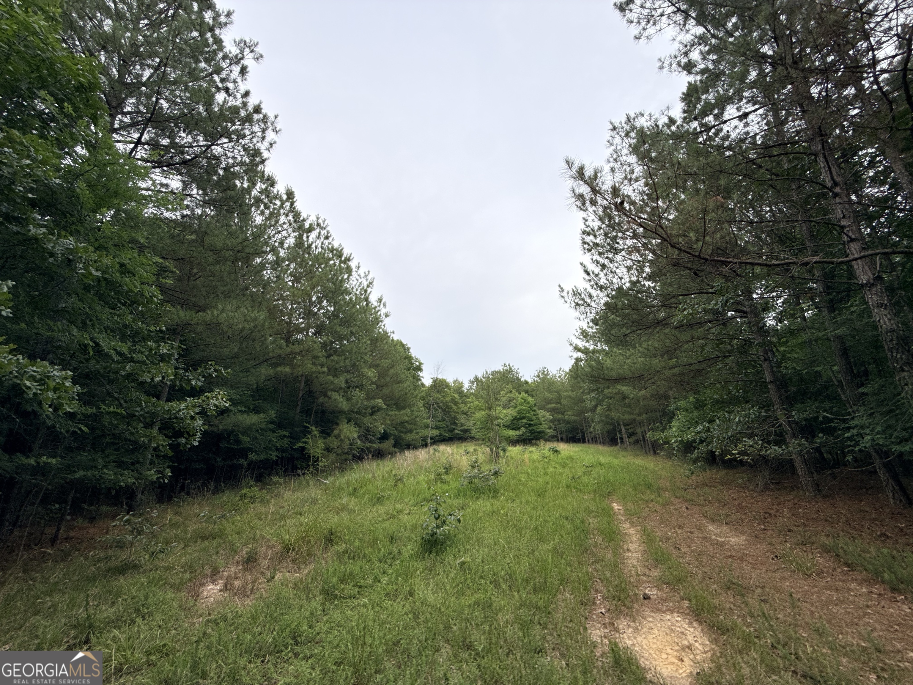 2 Bethesda Church Road Lexington, GA 30648 - Photo 11 of 66