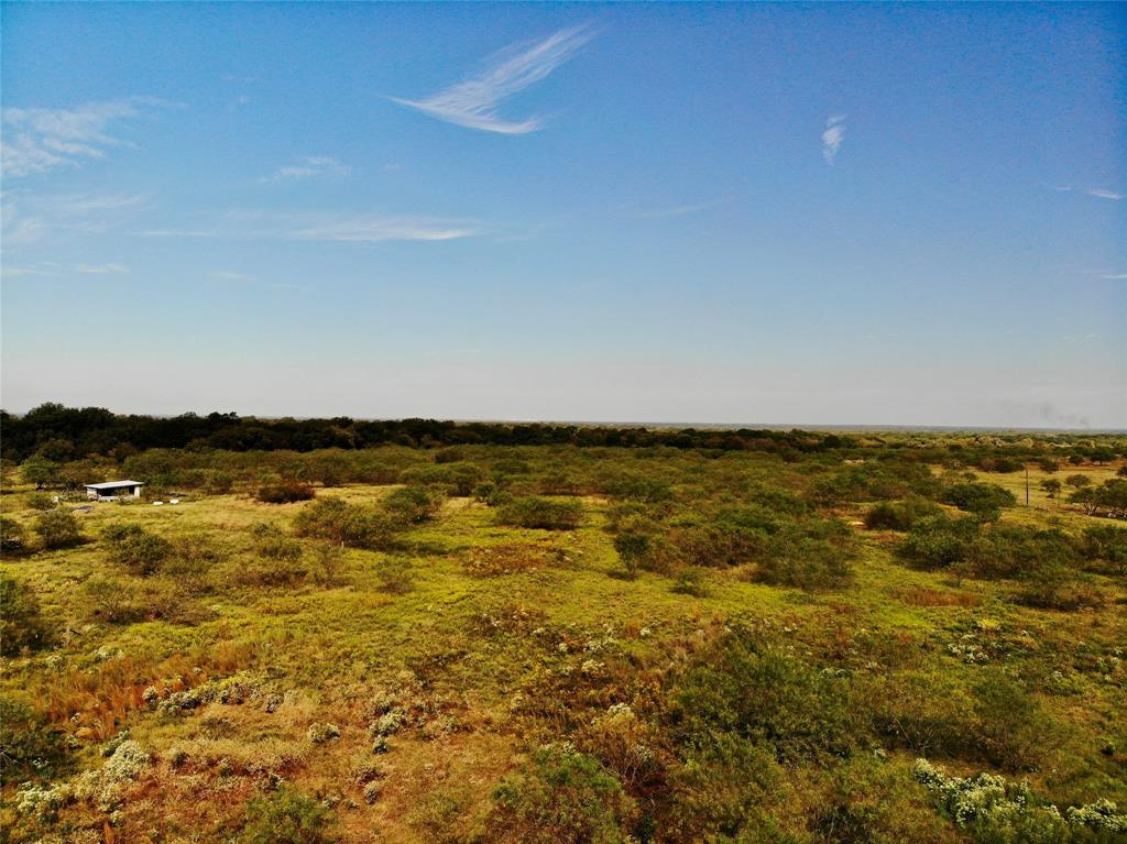 20570 County Road 3160 Hubbard, TX 76648 - Photo 5 of 7 View of local wilderness