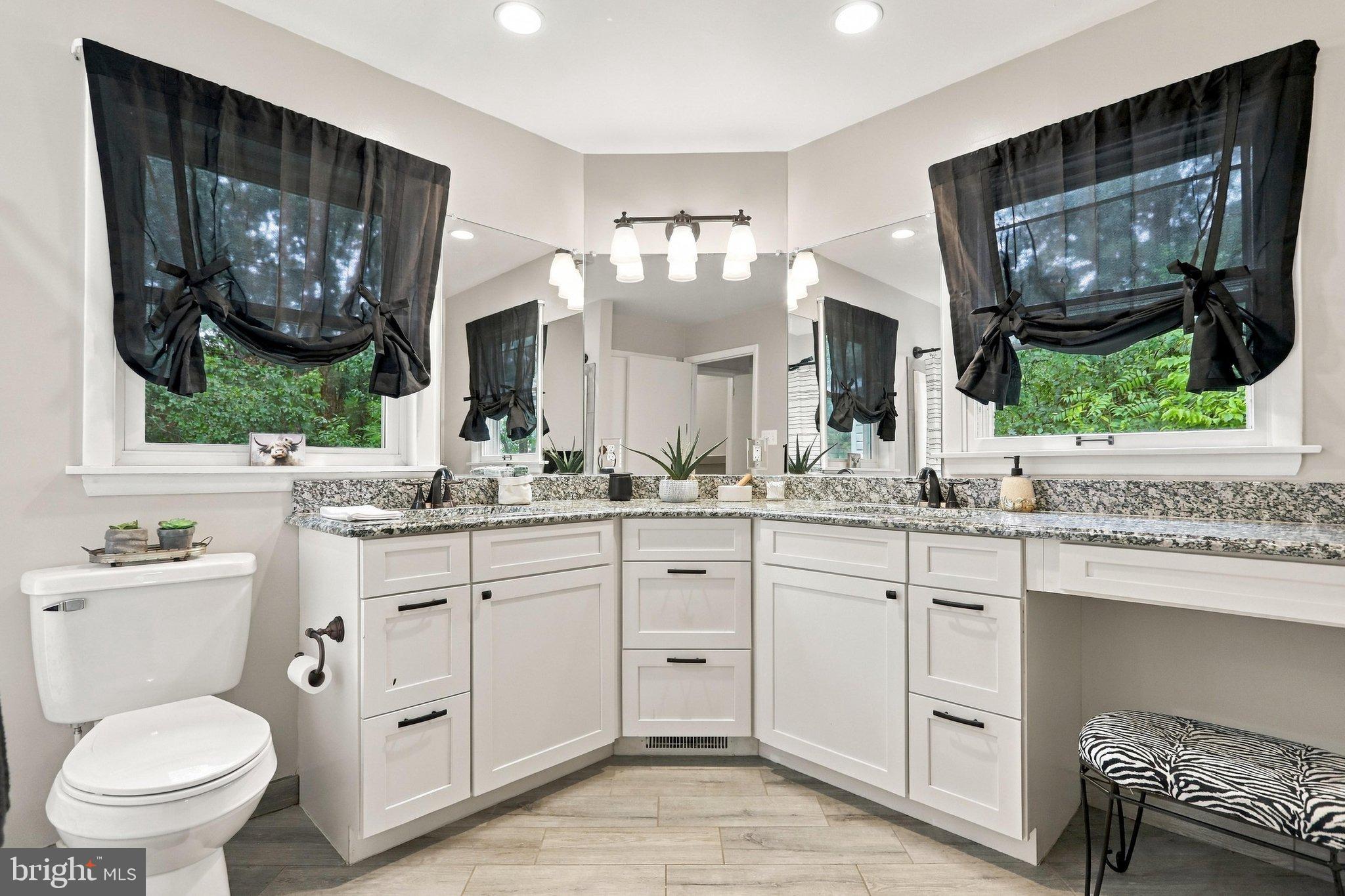 455 Mountain Road Front Royal, VA 22630 - Photo 26 of 62 Beautifully updated and spacious owner's bath!