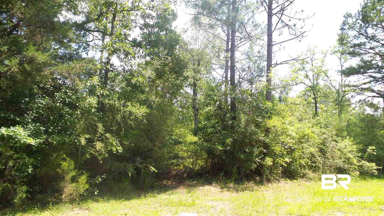 Deer Lake Road Walnut Hill, FL 32568 - Photo 10 of 22 Gallery Image 10
