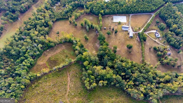 a view of a yard with plants