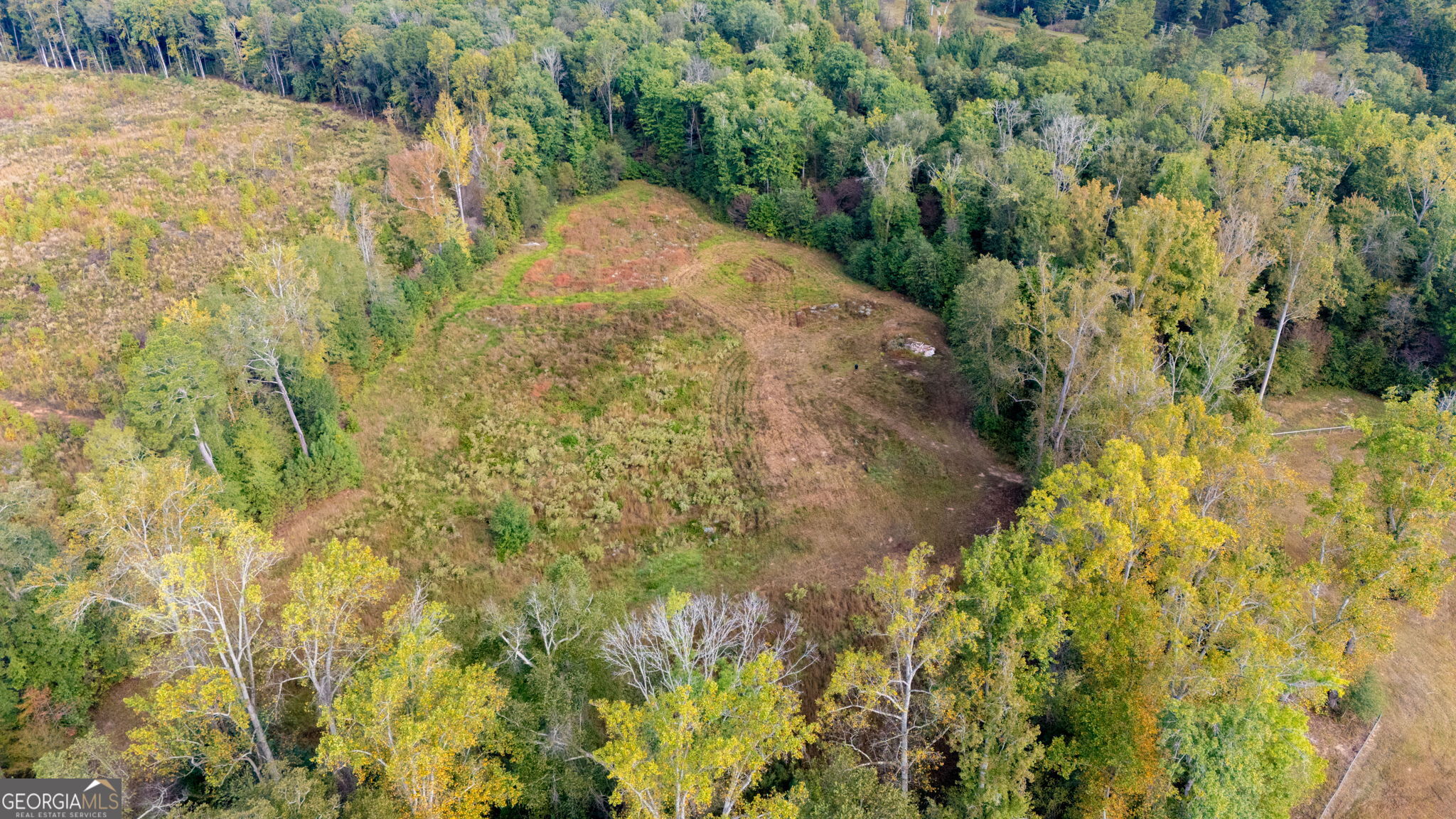 1750 Bishop Road Luthersville, GA 30251 - Photo 59 of 87