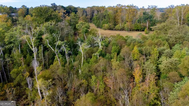 $1,599,900 | 1750 Bishop Road, Luthersville, GA 30251