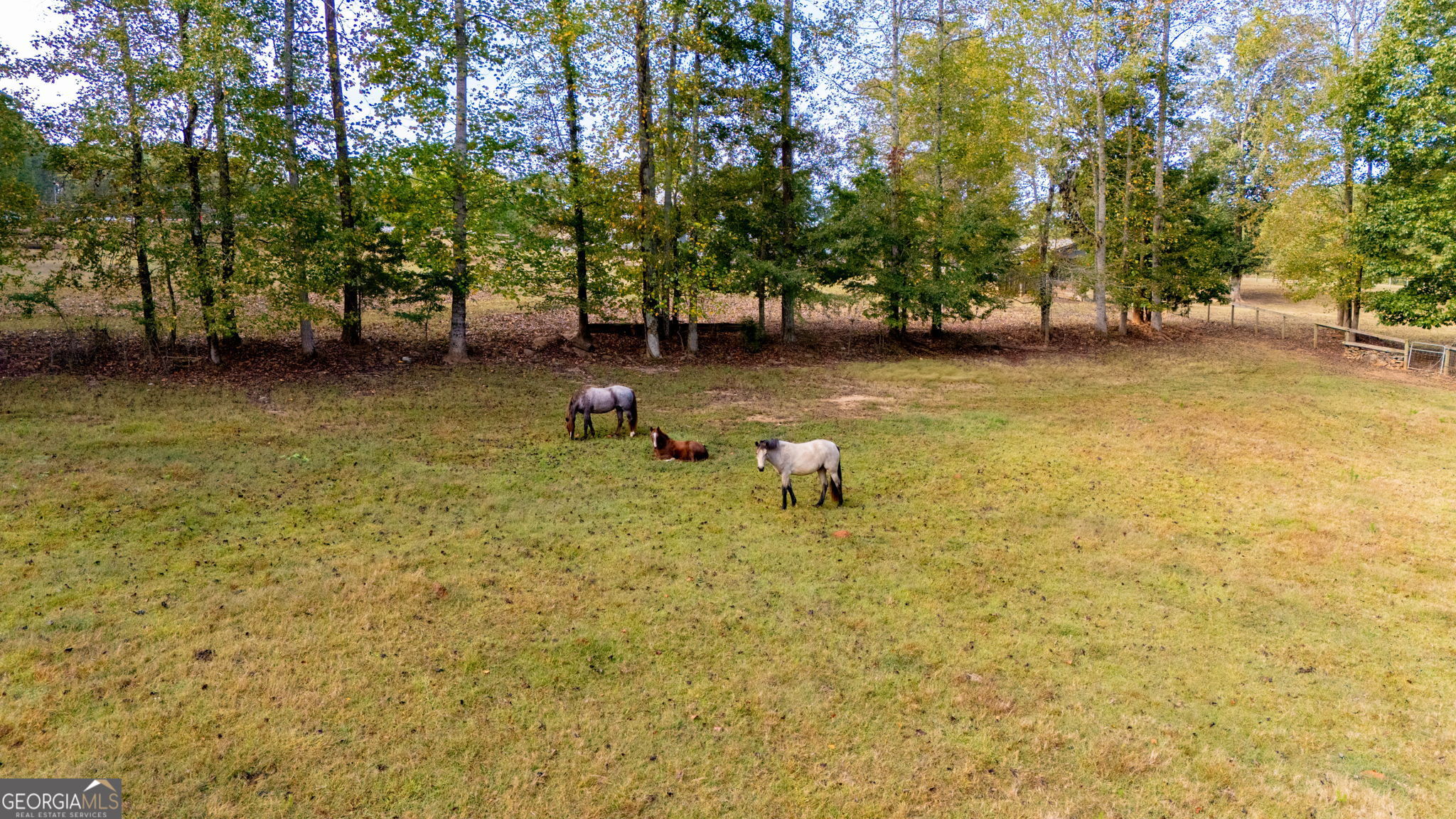 1750 Bishop Road Luthersville, GA 30251 - Photo 72 of 87