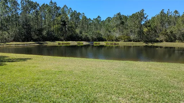 $3,100 | 14626 Corkwood Drive, Tampa, FL 33626