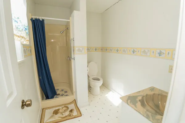 a bathroom with a toilet and a shower