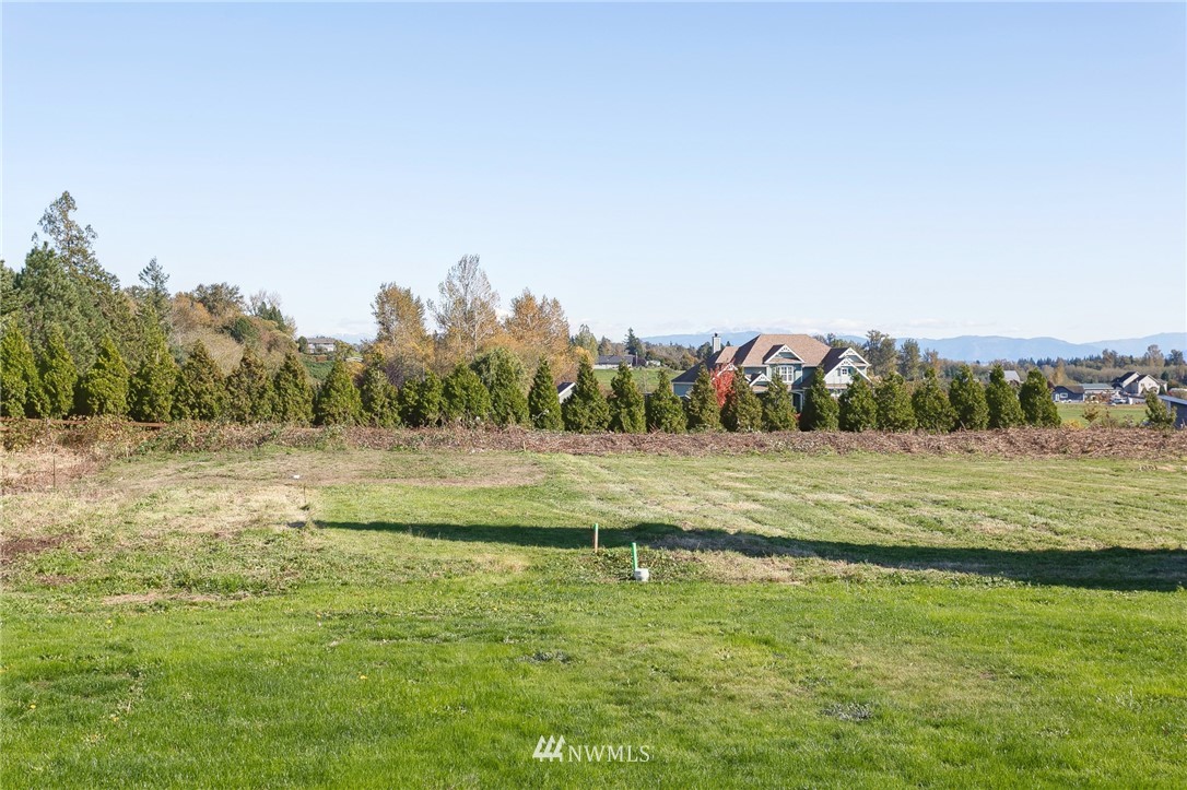 5998 Elder Road Ferndale, WA 98248 - Photo 21 of 23 a view of a field with an trees