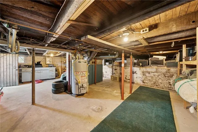 a view of a yard with plants and a large tree