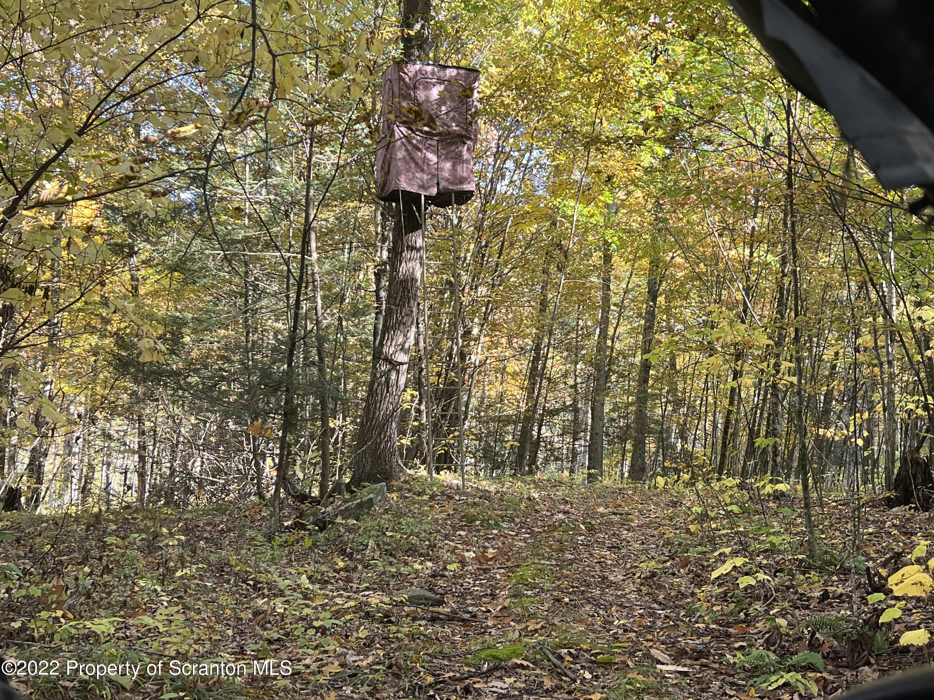 2364 Race Hill Road Wyalusing, PA 18853 - Photo 2 of 19 IMG_2304