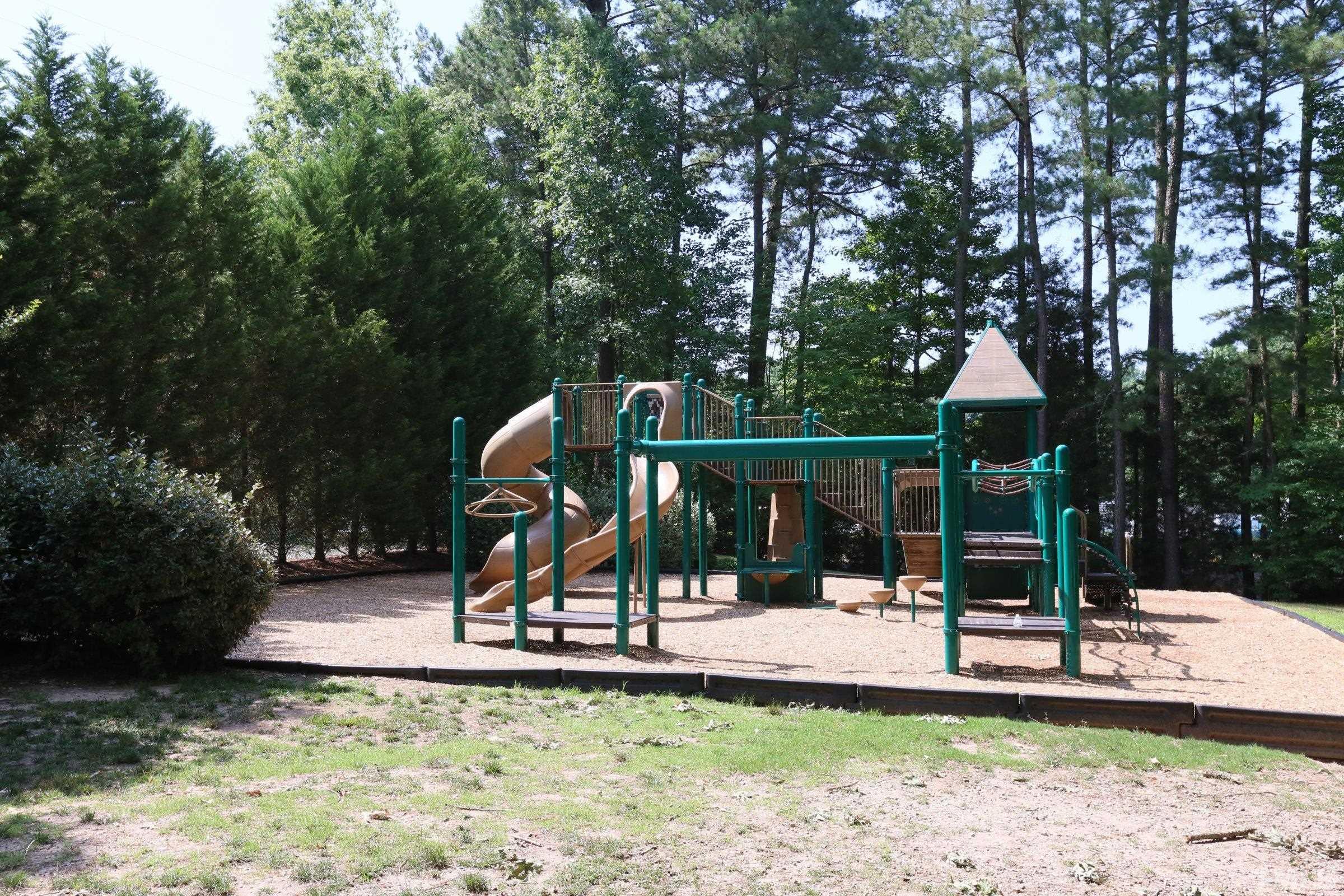 116 Long Shadow Place Durham, NC 27713 - Photo 38 of 38 a view of a park with slide