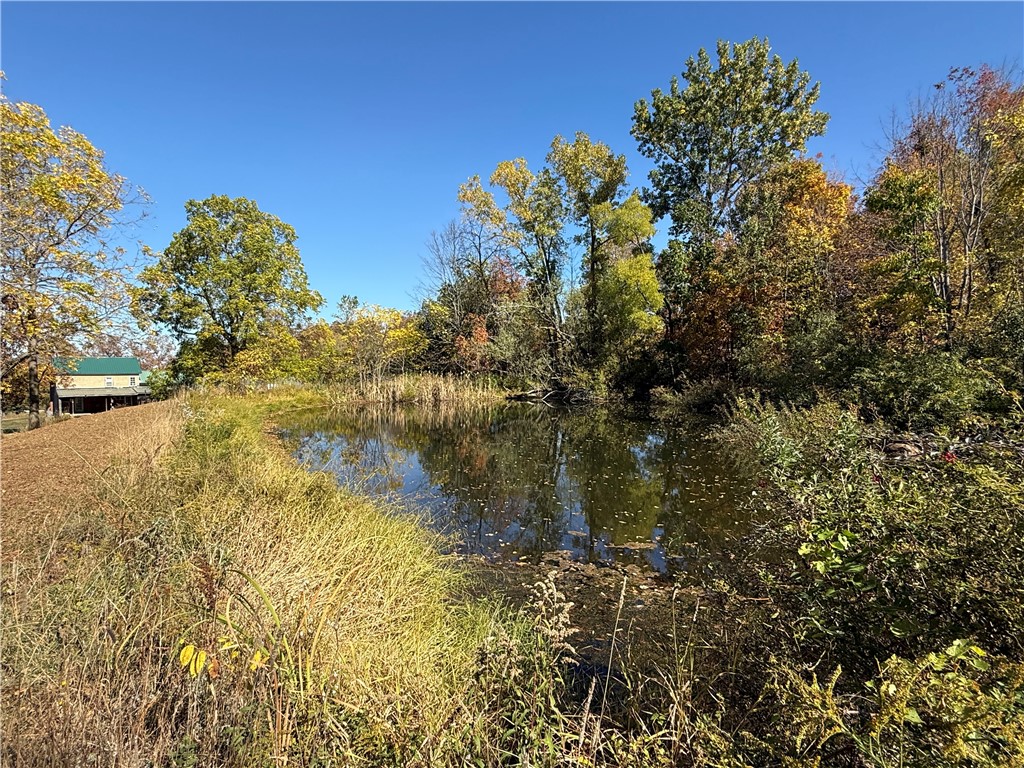 2714 Degroff Road Nunda, NY 14517 - Photo 32 of 46 Pond