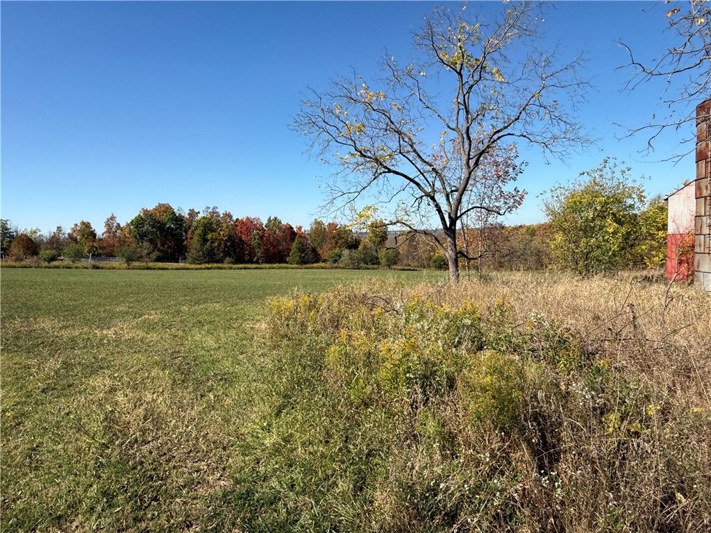 2714 Degroff Road Nunda, NY 14517 - Photo 38 of 46