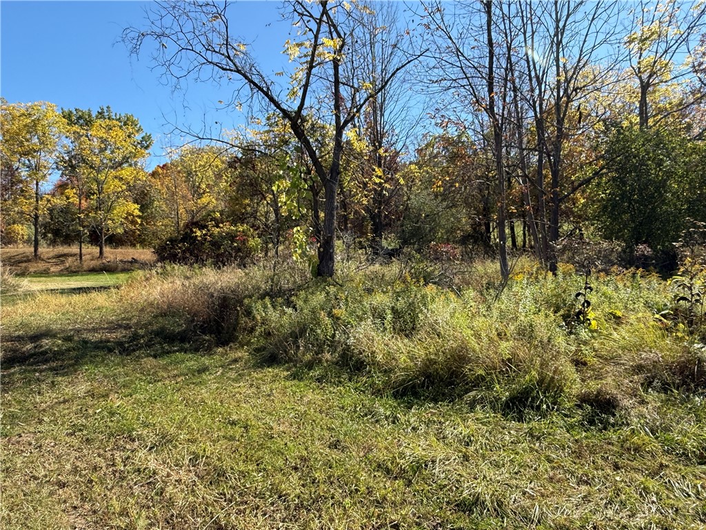 2714 Degroff Road Nunda, NY 14517 - Photo 40 of 46