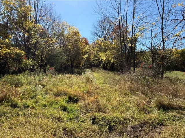 $216,500 | 2714 Degroff Road, Nunda, NY 14517