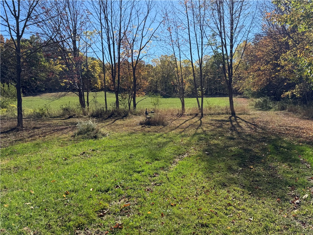 2714 Degroff Road Nunda, NY 14517 - Photo 42 of 46