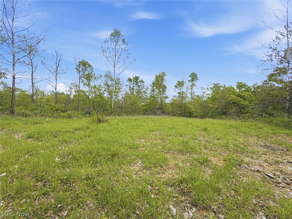 69-acres Newlon Road Malta, OH 43758 - Photo 18 of 20