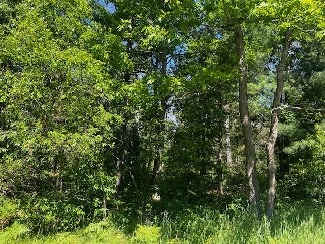 1 M-37 Baldwin, MI 49304 - Photo 15 of 15
