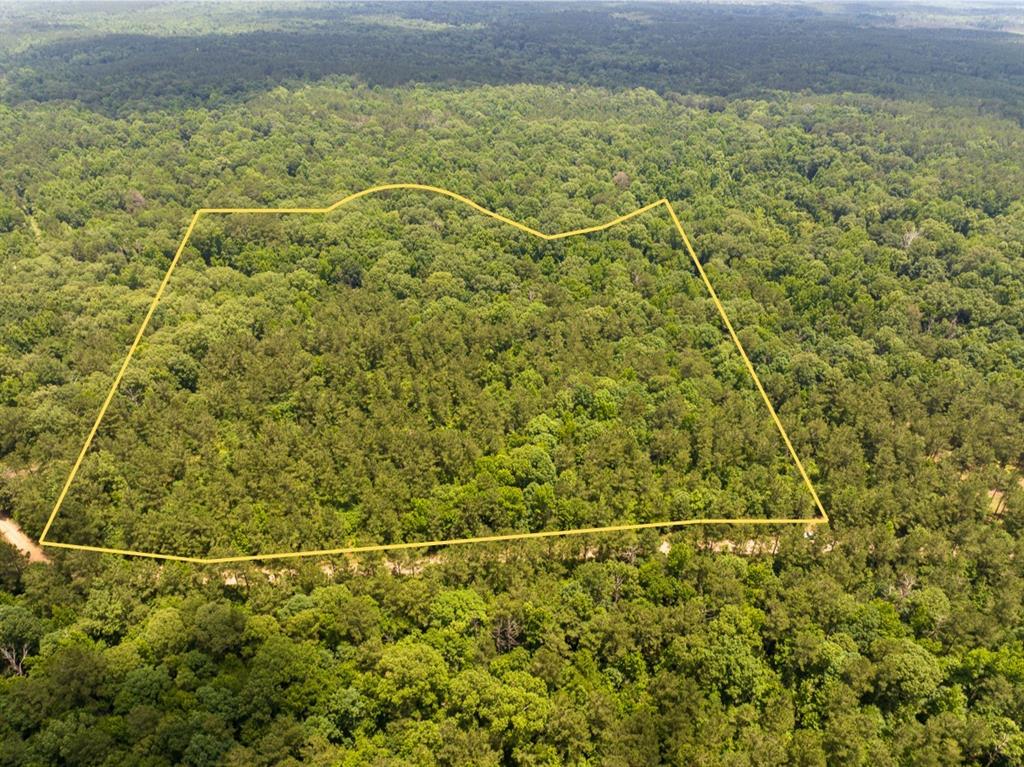 2 Posey Webb Camp Road Jonesville, LA 71343 - Photo 1 of 13