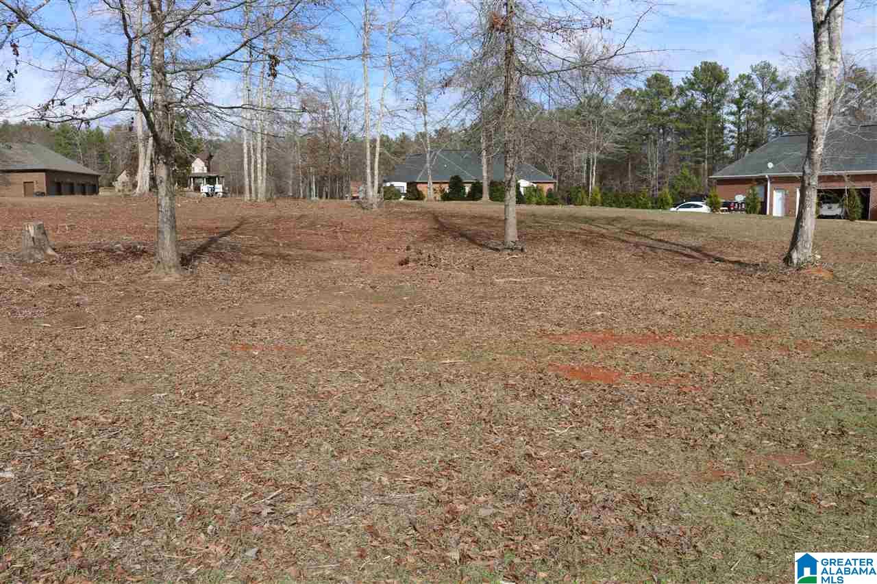 Tumbleweed Lane, Unit 13B Cropwell, AL 35054 - Photo 3 of 4