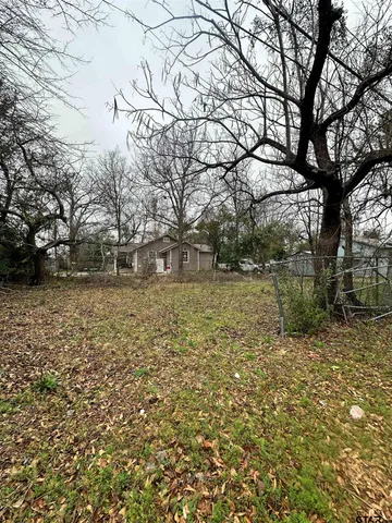 a view of a yard with large tree